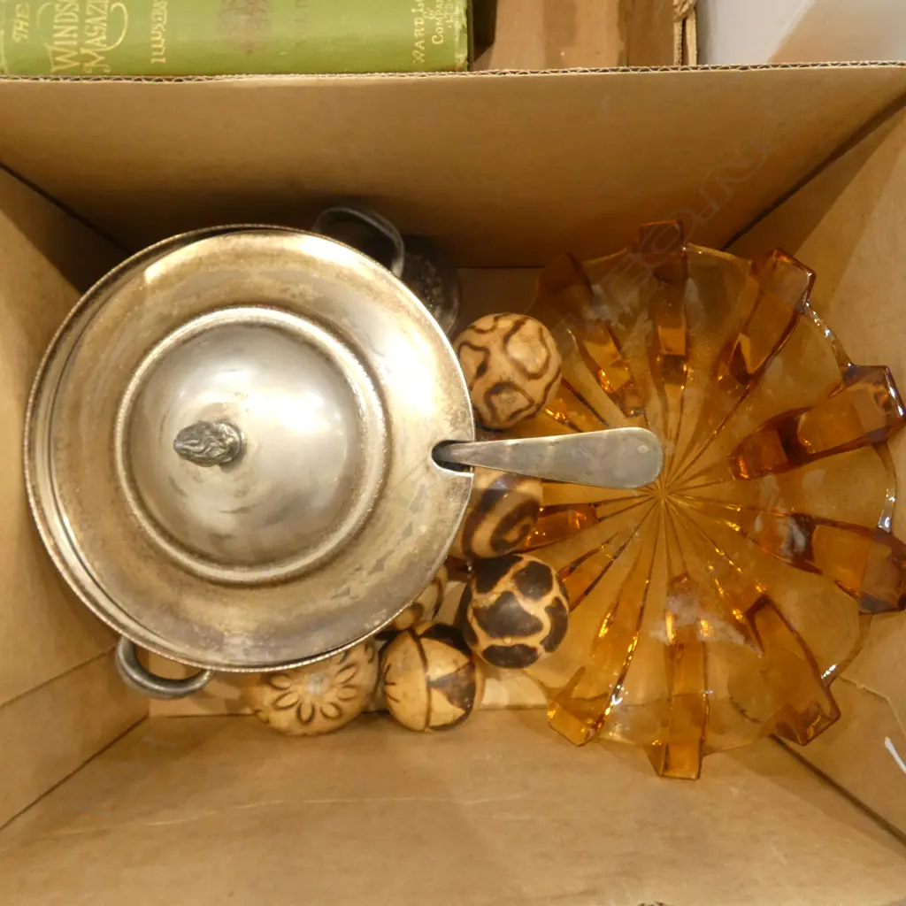 SILVER PLATED SERVING TUREEN, GLASS BOWL & ASST. POLISHED & PAINTED PODS  Image 1++