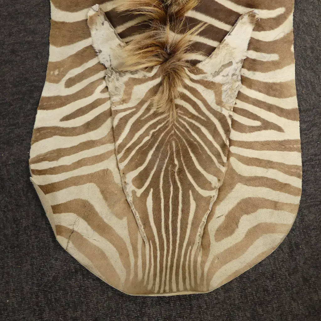 ZEBRA SKIN L.2600mm Image 1++