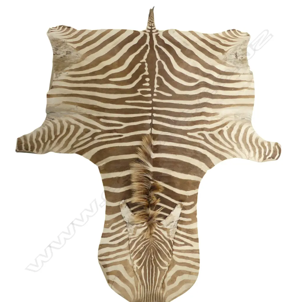 ZEBRA SKIN L.2600mm Image 1++