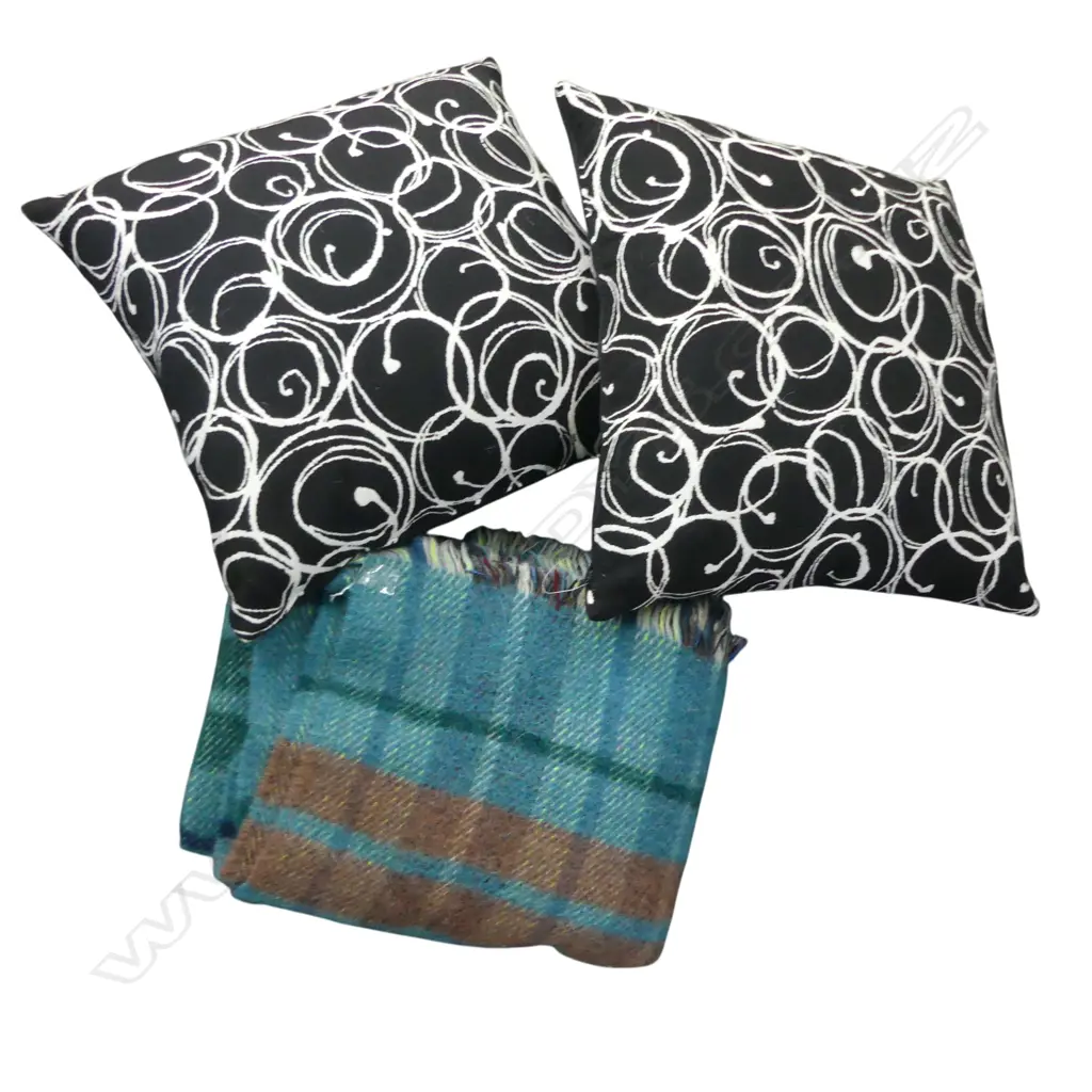 2 CUSHIONS + WOOL BLANKET  Image 1++