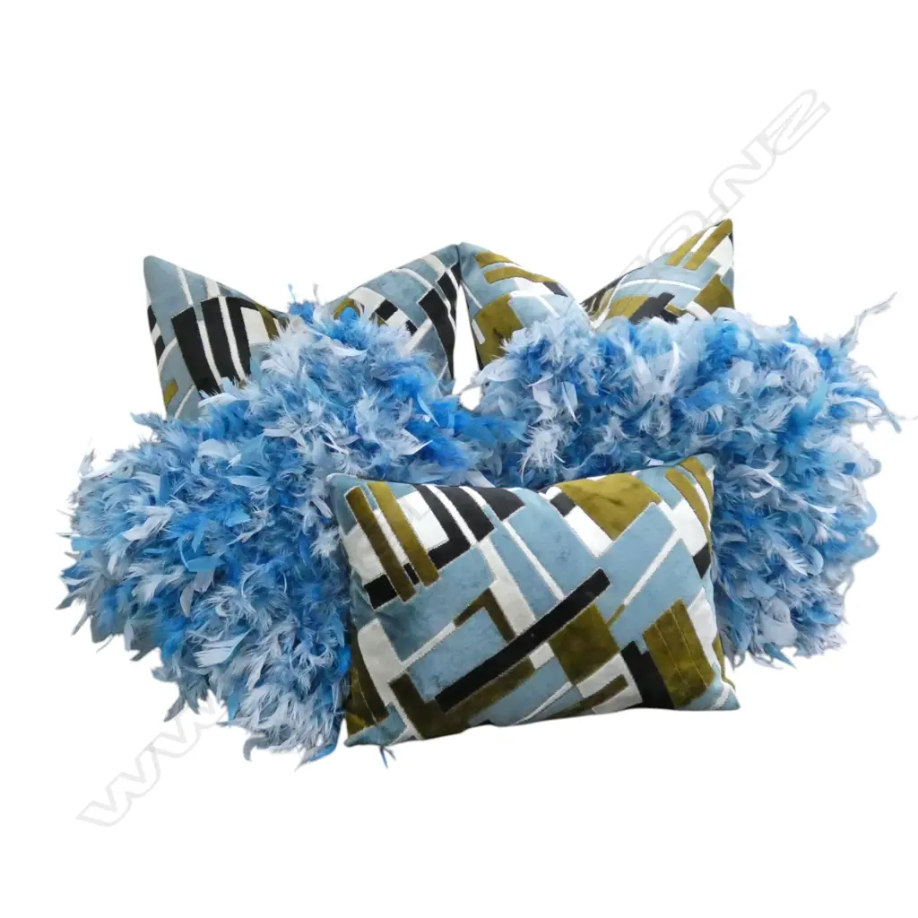 5 CUSHIONS (3 VELVET + 2 BLUE FEATHER) Image 1++