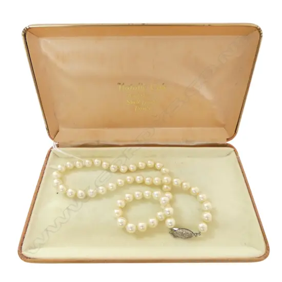 SINGLE STRAND 52 CREAM PEARL NECKLACE; 'SHELL BASED' L.460mm, CASED