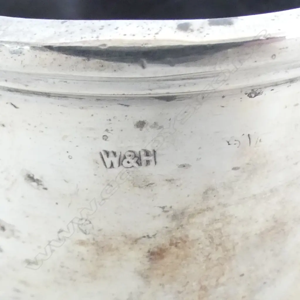 S/SILVER PEPPER & SALT WITH S/S SPOON TOTAL WEIGHT 126GRS Image 1++
