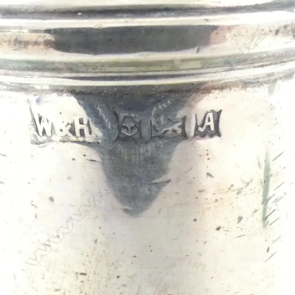 S/SILVER PEPPER & SALT WITH S/S SPOON TOTAL WEIGHT 126GRS Image 1++