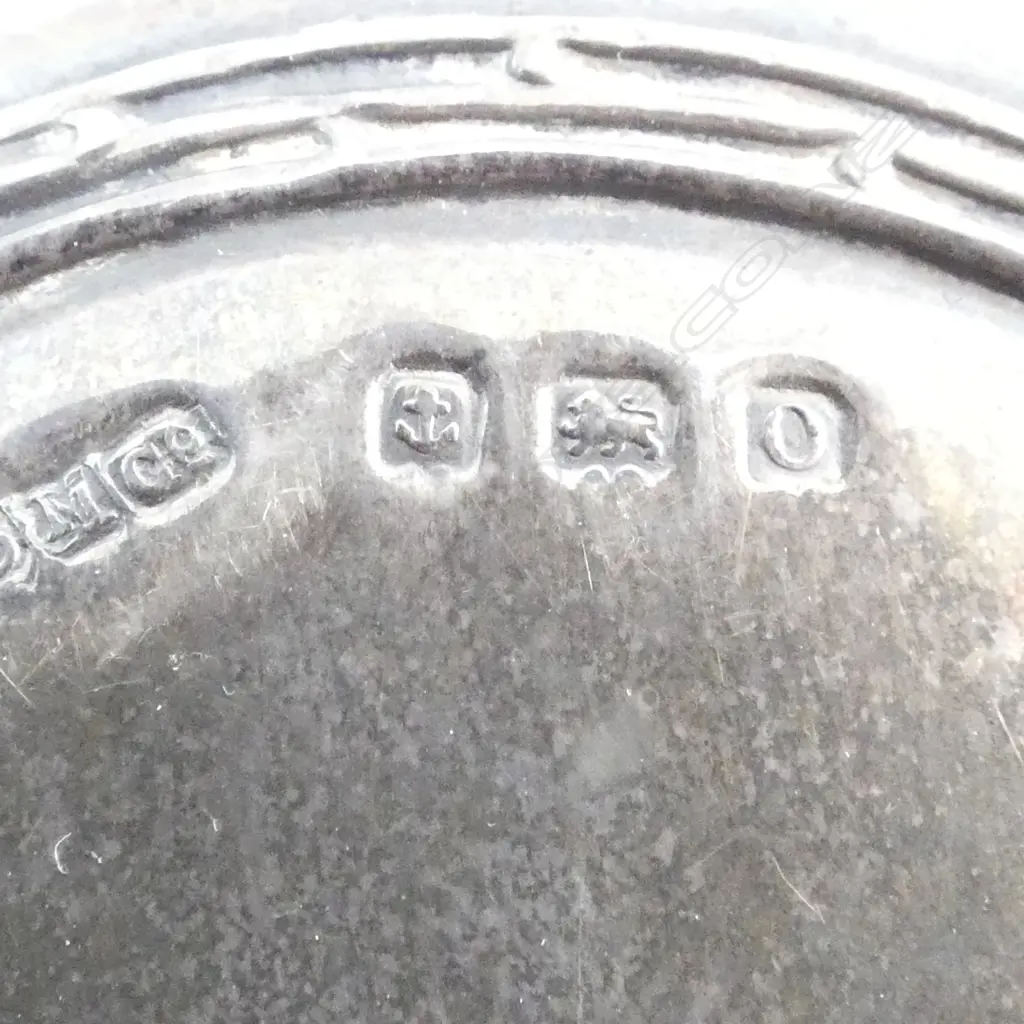 STG SILVER BRUSH, BIRMINGHAM 1913 Image 1++