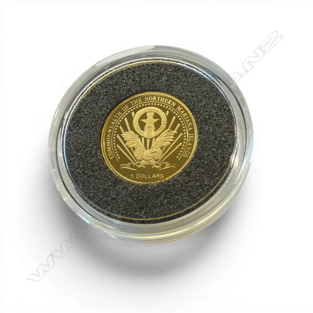**RTV** MACQUARIE MINT 2004 MARIANA ISLANDS ALBERT EINSTEIN .999 GOLD PROOF $5 COIN 1.224gms Image 1++