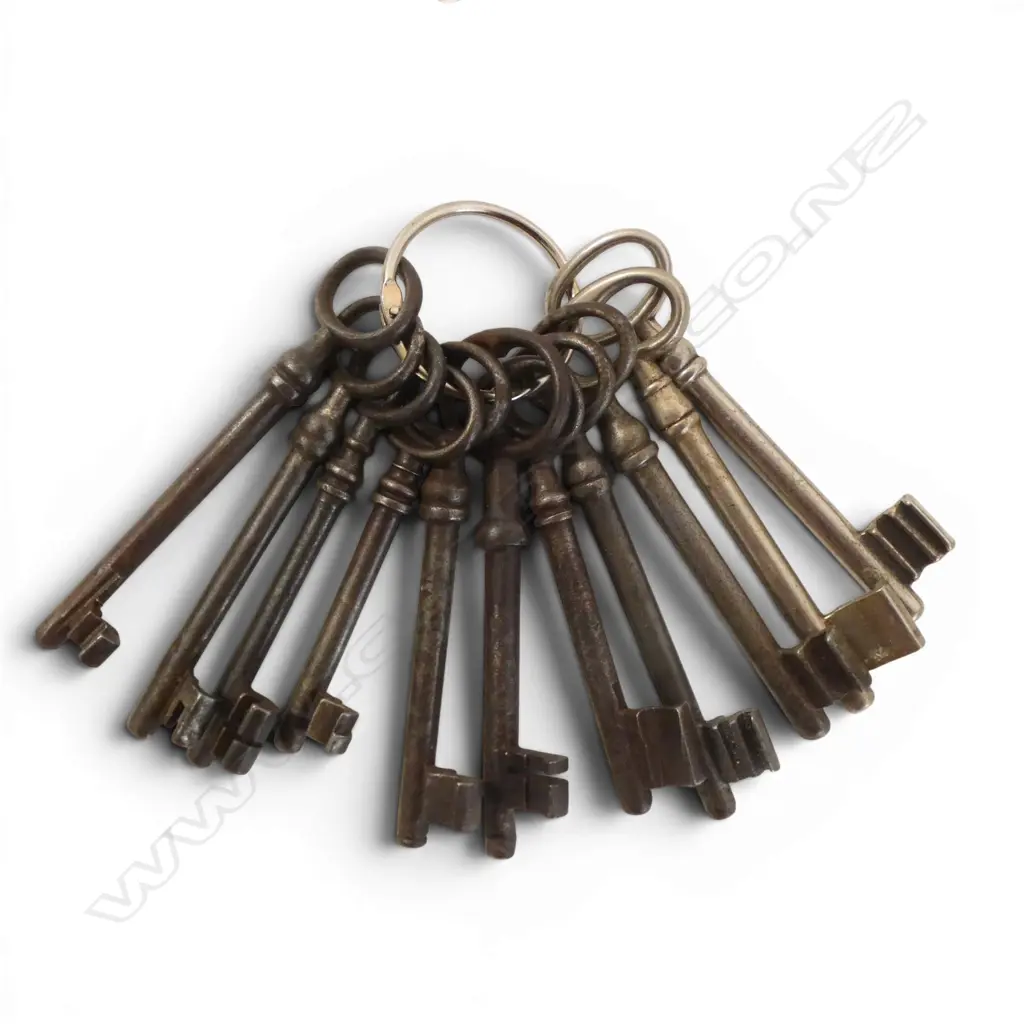 ASST. KEYS ON RING  Image 1++
