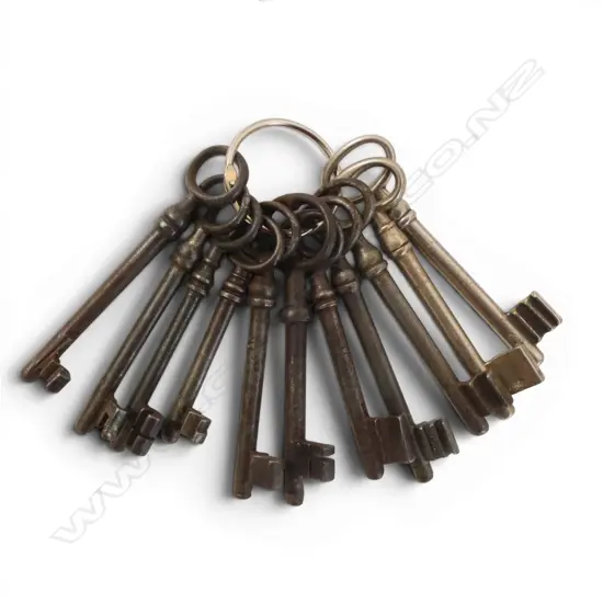 ASST. KEYS ON RING 