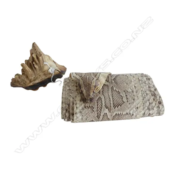 TEETH/MOLARS + SNAKE SKIN L.2650mm