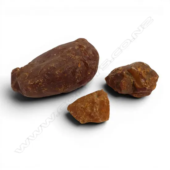 3 KAURI GUM NUGGETS 130MM LONGEST