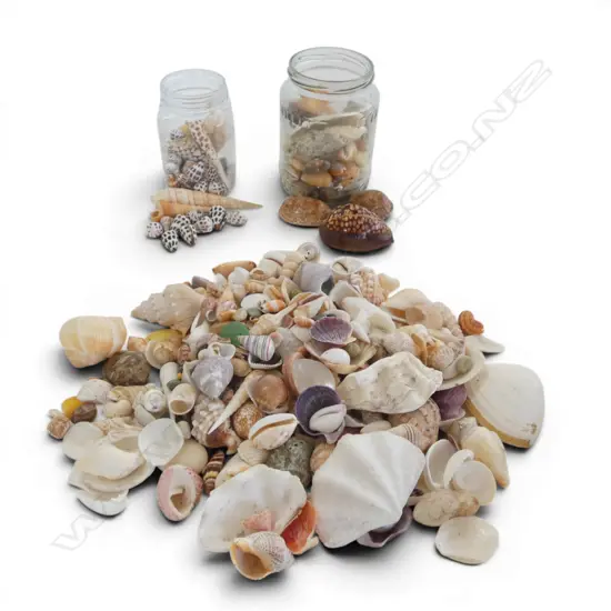 BOX CONTAINING 2 JARS OF SMALL SHELLS & COLLECTION OF SMALL SEASHELLS 
