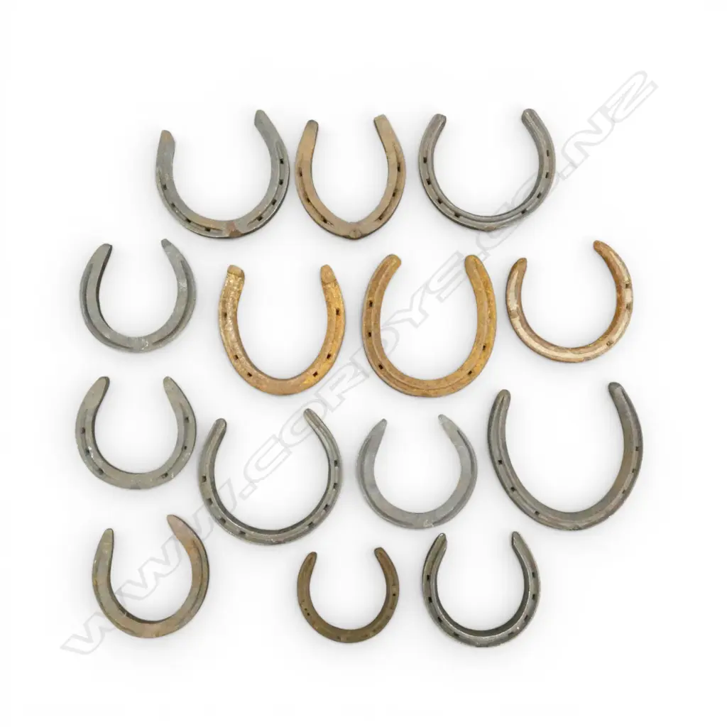 ASST. VINTAGE HORSE SHOES Image 1++