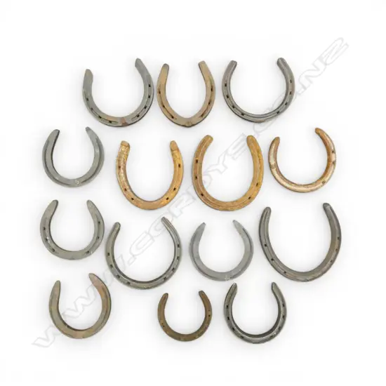 ASST. VINTAGE HORSE SHOES