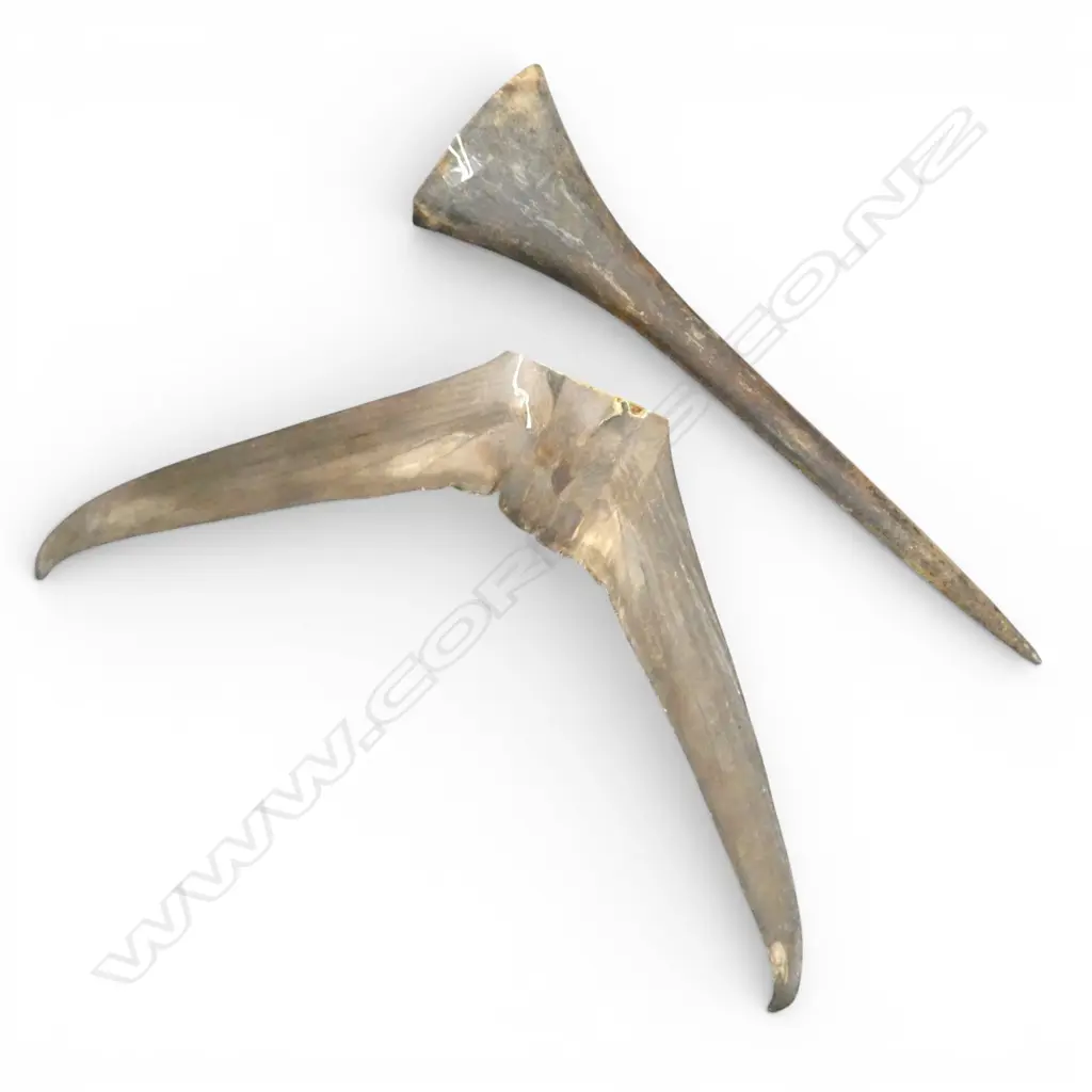 MARLIN BILL & TAIL FIN L.700mm Image 1++