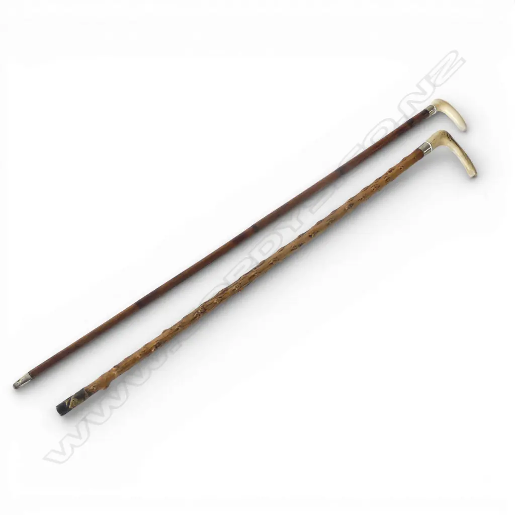 2 WALKING STICKS; IVORY + BONE HANDLE H.900mm Image 1++