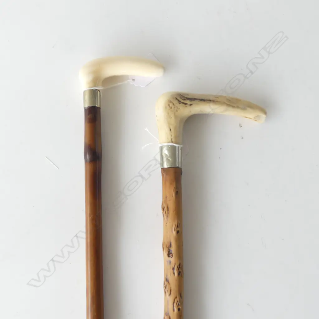 2 WALKING STICKS; IVORY + BONE HANDLE H.900mm Image 1++