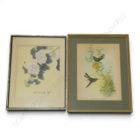 COLOURED LITHOGRAPH 'FAMILY of HUMINGBIRDS' & CHINESE PTG on SILK PEONIES, 490x400 & 370x480mm