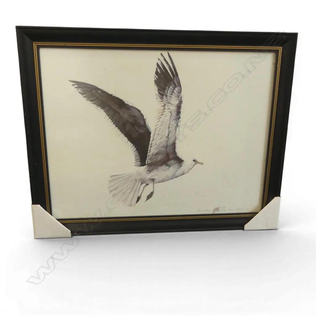 BRUCE HARVEY, JONATHAN, PRINT Ed.84/200, 505x645mm Image 1++