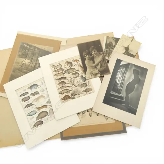 FOLIO ASST. PRINTS ETC