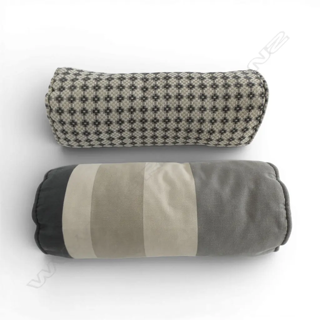 2 CUSHIONS L.450mm Image 1++