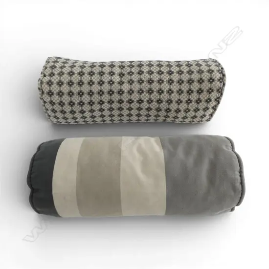 2 CUSHIONS L.450mm