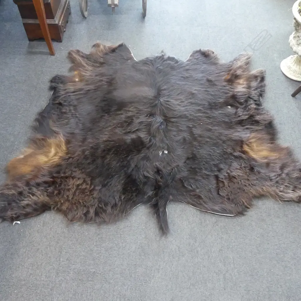 HIGHLAND COW HIDE L.2100mm approx. Image 1++