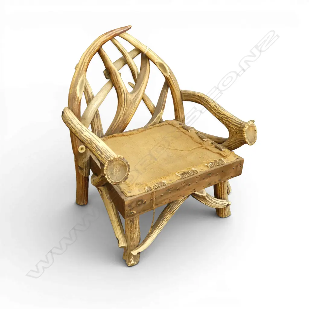 CHILDS ANTLER CHAIR antler repairs H.430mm Image 1++