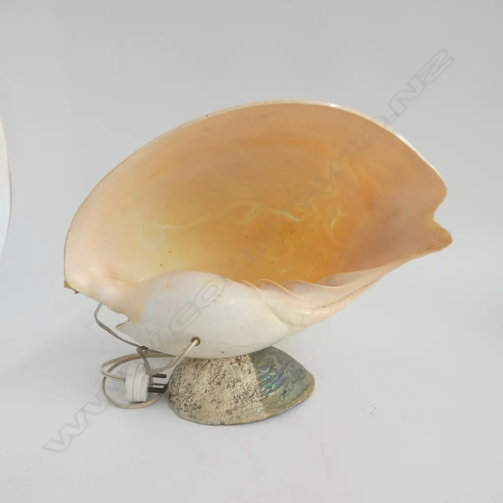 LG SHELL LAMP w. CARVED DRAGON DESIGN H.280mm Image 1++