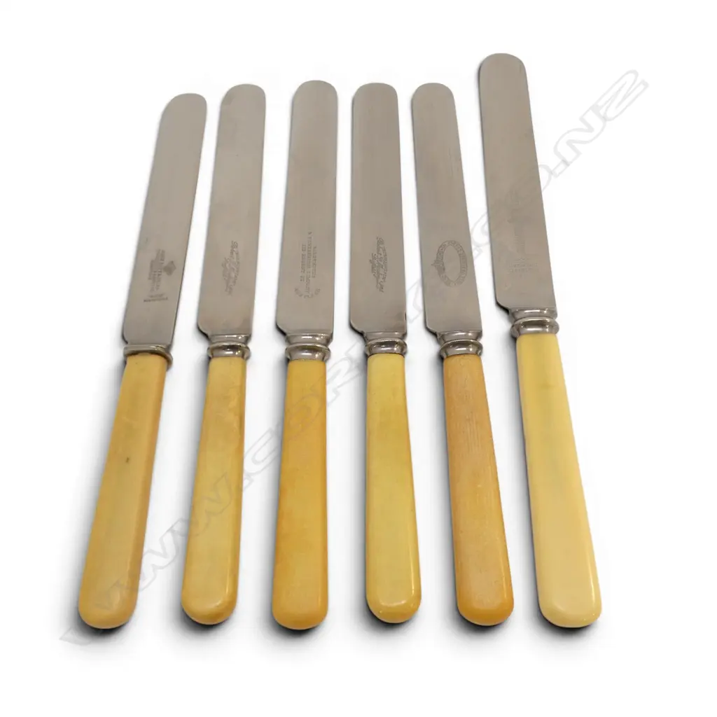 6 VINTAGE IVORINE 'BONE' BUTTER KNIVES L.260mm Image 1++