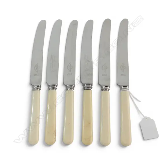 6 IVORINE 'BONE' KNIVES 