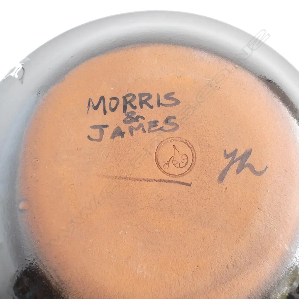MORRIS & JAMES POHUTAKAWA POTTERY BOWL Dia.375mm Image 1++