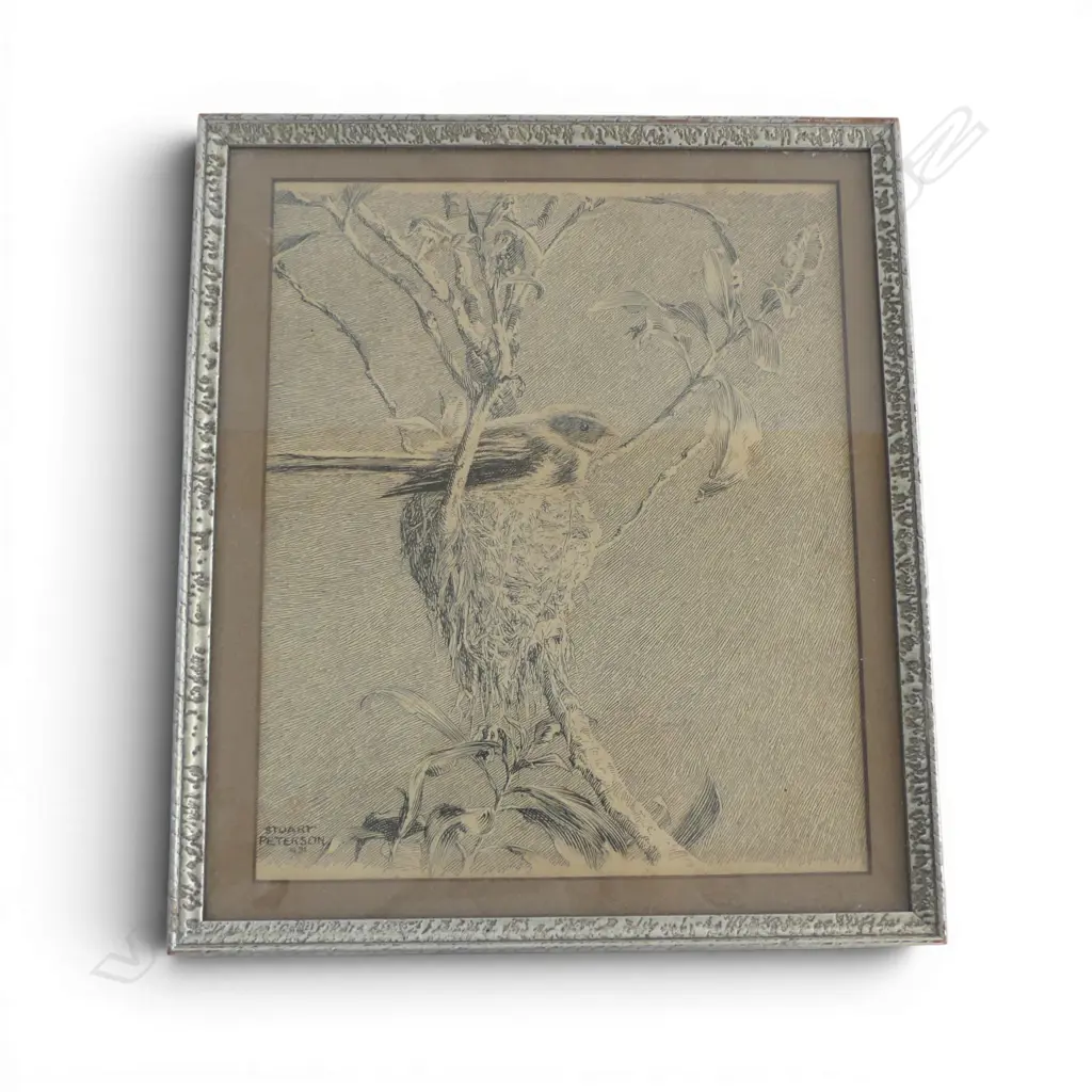 Archibald Stuart Peterson (1900-76) PIWAKAWAKA ENGRAVING SIGNED 1931 230x185mm Image 1++