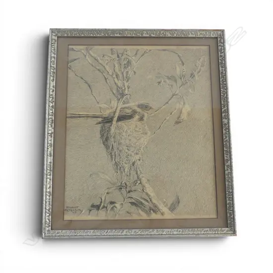 Archibald Stuart Peterson (1900-76) PIWAKAWAKA ENGRAVING SIGNED 1931 230x185mm