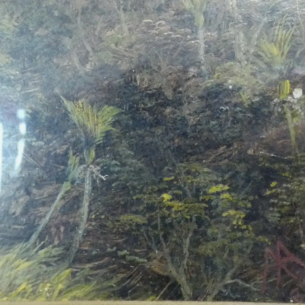 A. E. ALDIS 'A PEEP THROUGH THE BUSH, WEST COAST WAITAKEREI' OIL, INITIALED & DATED 1887 210x155mm  Image 1++