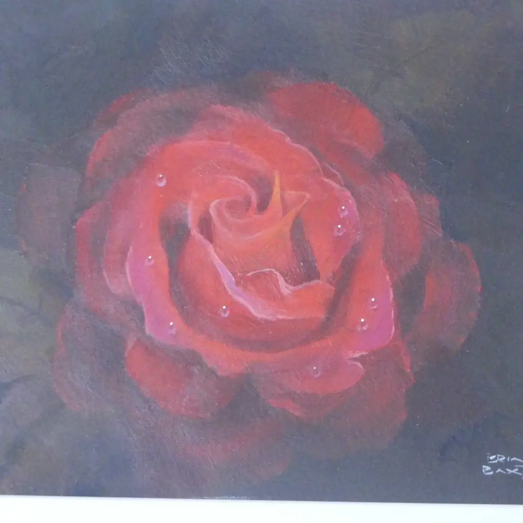 BRIAN BAXTER 'MISTER LINCOLN (RED ROSE)' OIL ON BOARD 170x230mm Image 1++