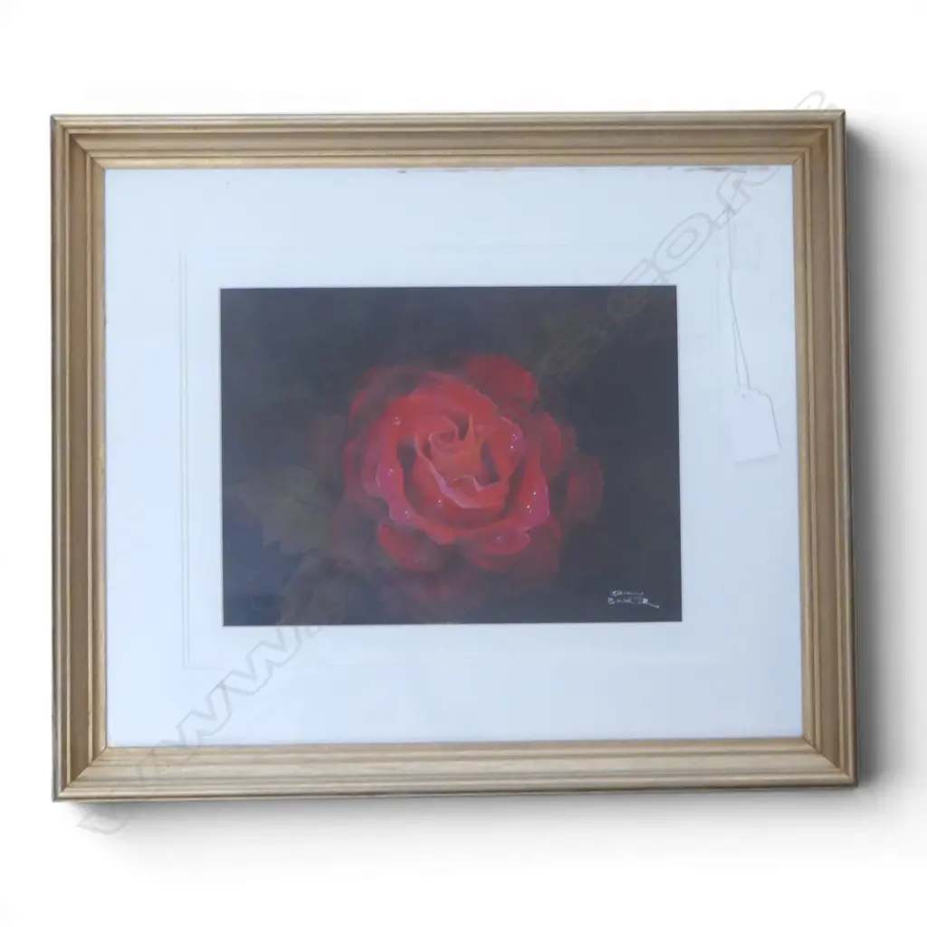 BRIAN BAXTER 'MISTER LINCOLN (RED ROSE)' OIL ON BOARD 170x230mm Image 1++