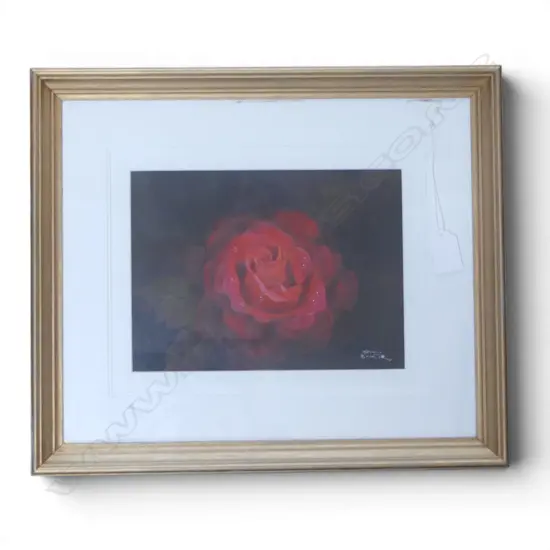 BRIAN BAXTER 'MISTER LINCOLN (RED ROSE)' OIL ON BOARD 170x230mm