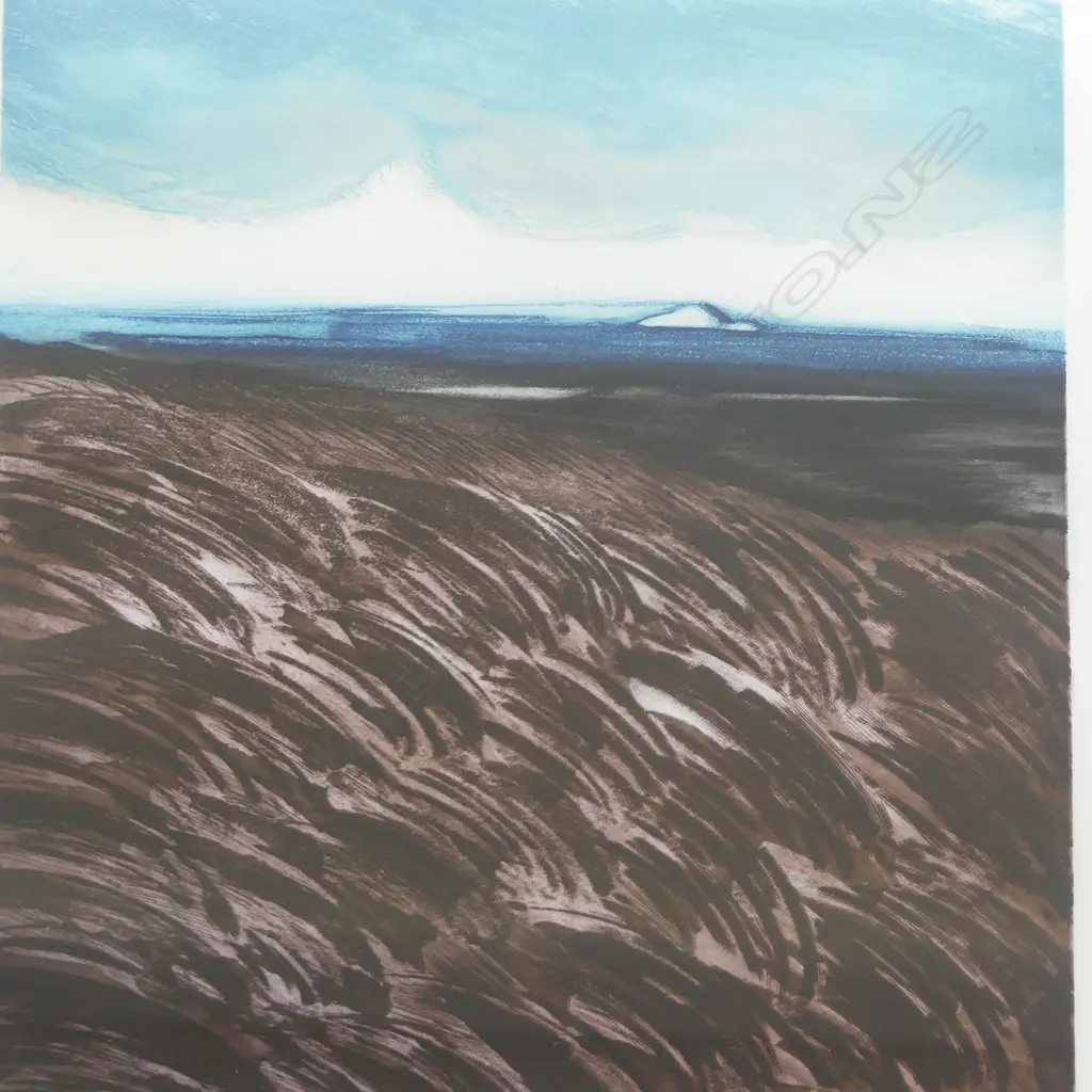 FELICITY WEST 'OAIA, HOME OF THE GANNETS' ETCHING 14/75 510x405mm Image 1++