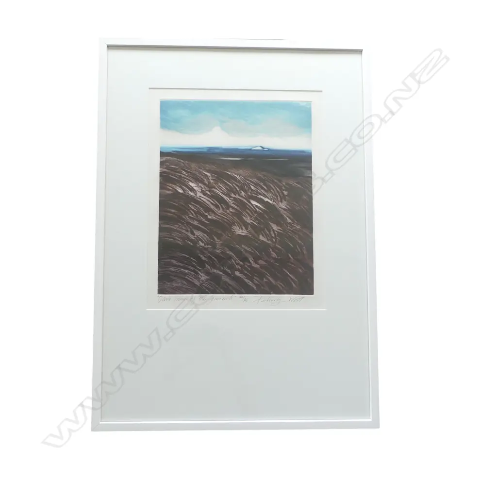 FELICITY WEST 'OAIA, HOME OF THE GANNETS' ETCHING 14/75 510x405mm Image 1++