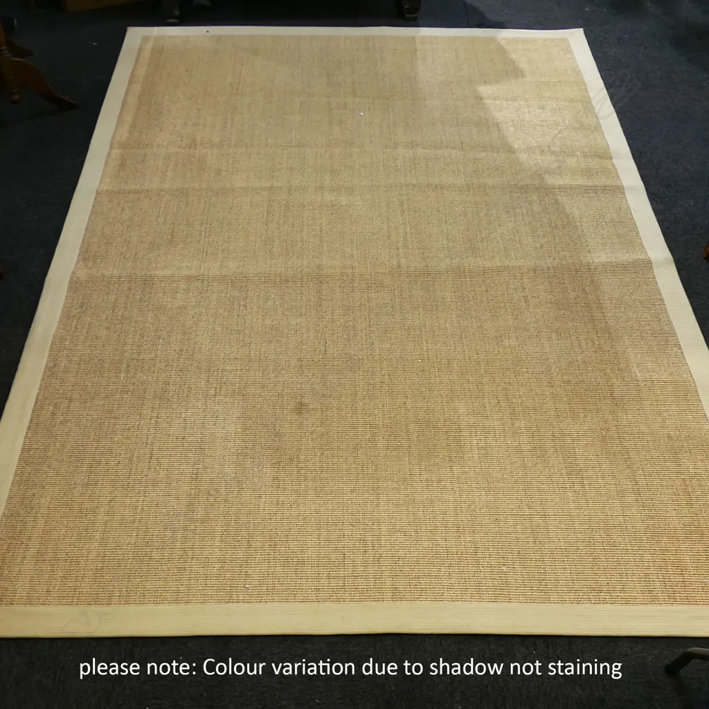 SISAL RUG 3000x2000mm Image 1++