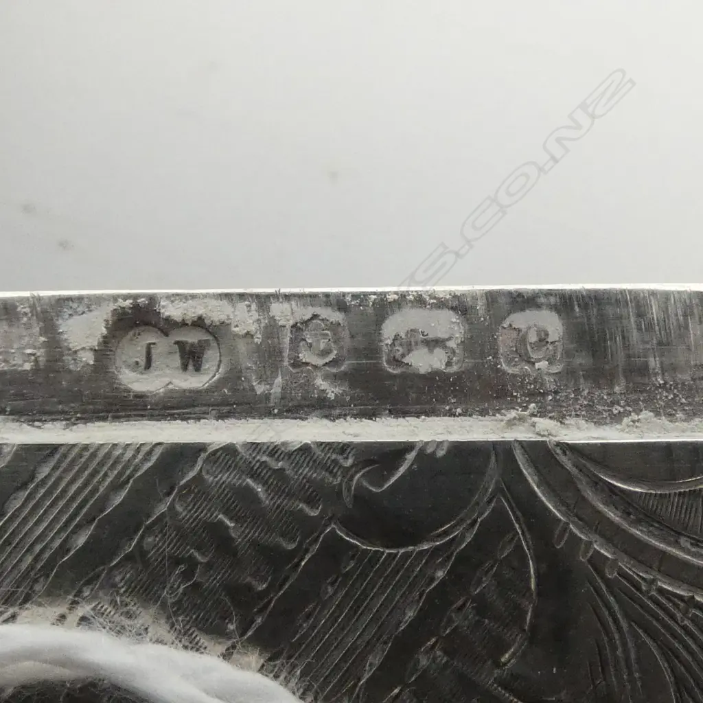 Birmingham 1902 LARGE SILVER ENGRAVED VESTA 30gms Image 1++
