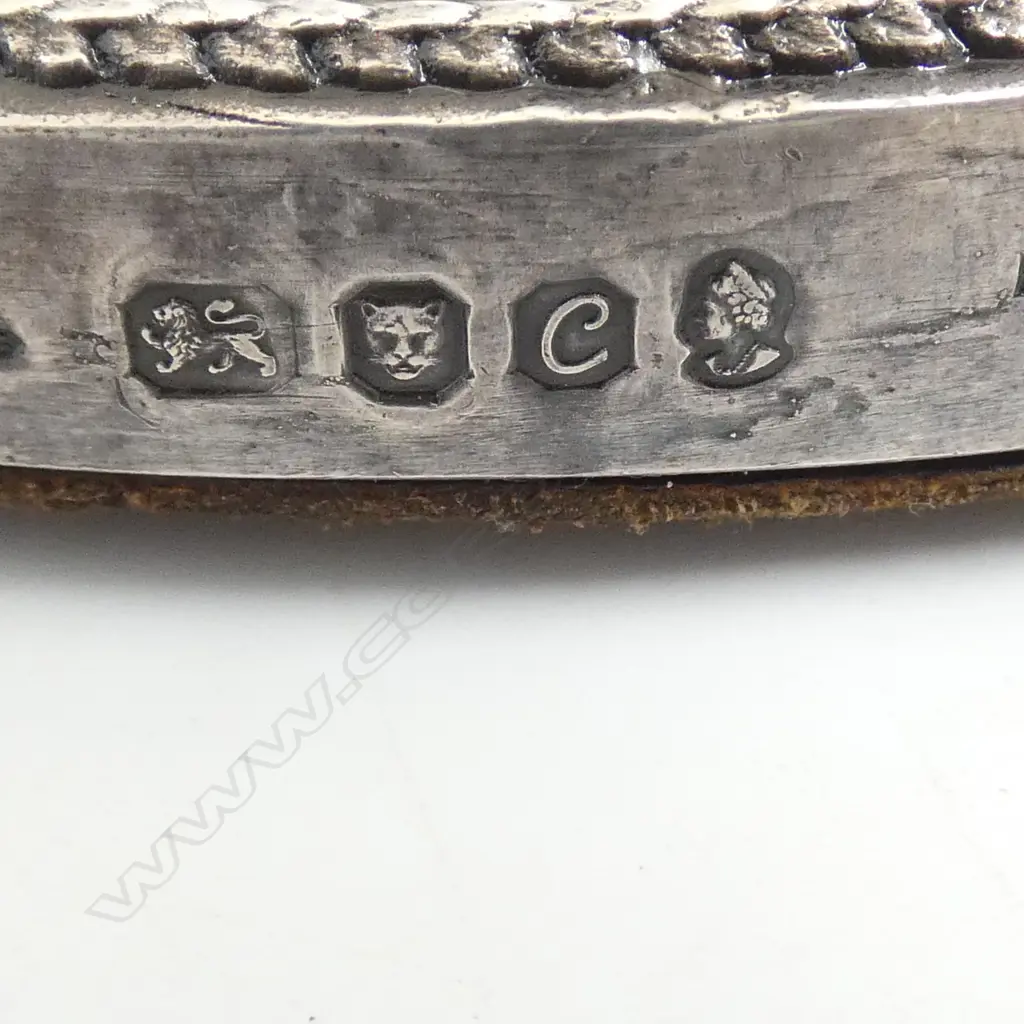 London 1977 STG SILVER WALL PLAQUE copy of Roman coin 'Brunswick' & 'Luneburg' Hallmarked. Filled in back. Dia.140mm. Image 1++