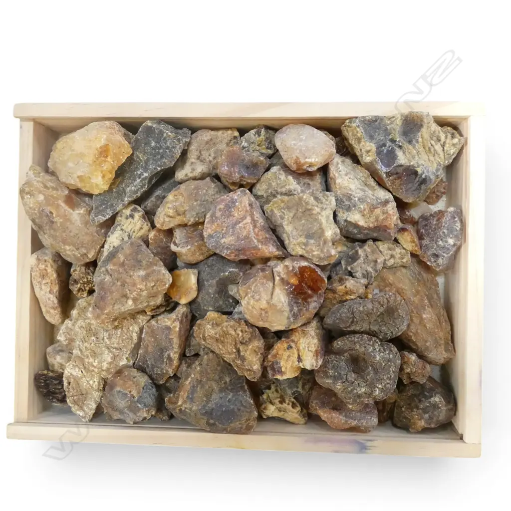 TRAY LOT OF KAURI GUM NUGGETS 1.2KGS Image 1++