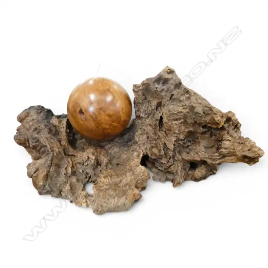 POLISHED MOTTLED KAURI BALL ON KAURI NOTT BASE L260MM