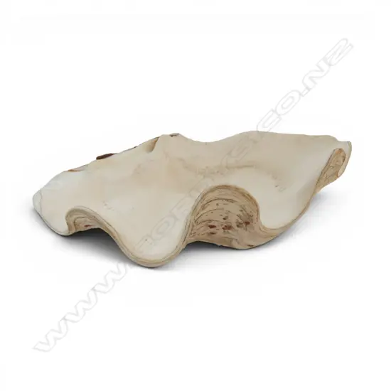 GIANT CLAM SHELL L280MM