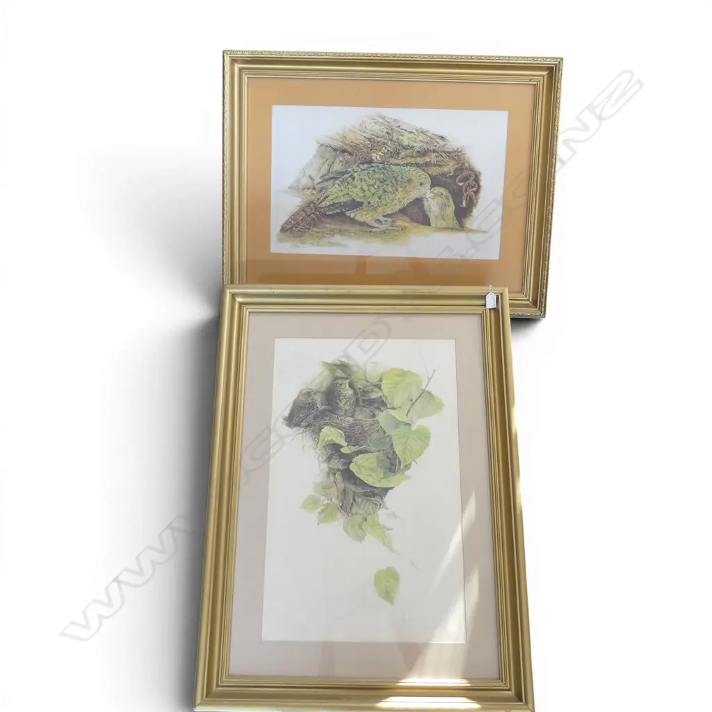 2 LARGE MERRILYN JAQUIERY BIRD PRINTS 650x410mm Image 1++