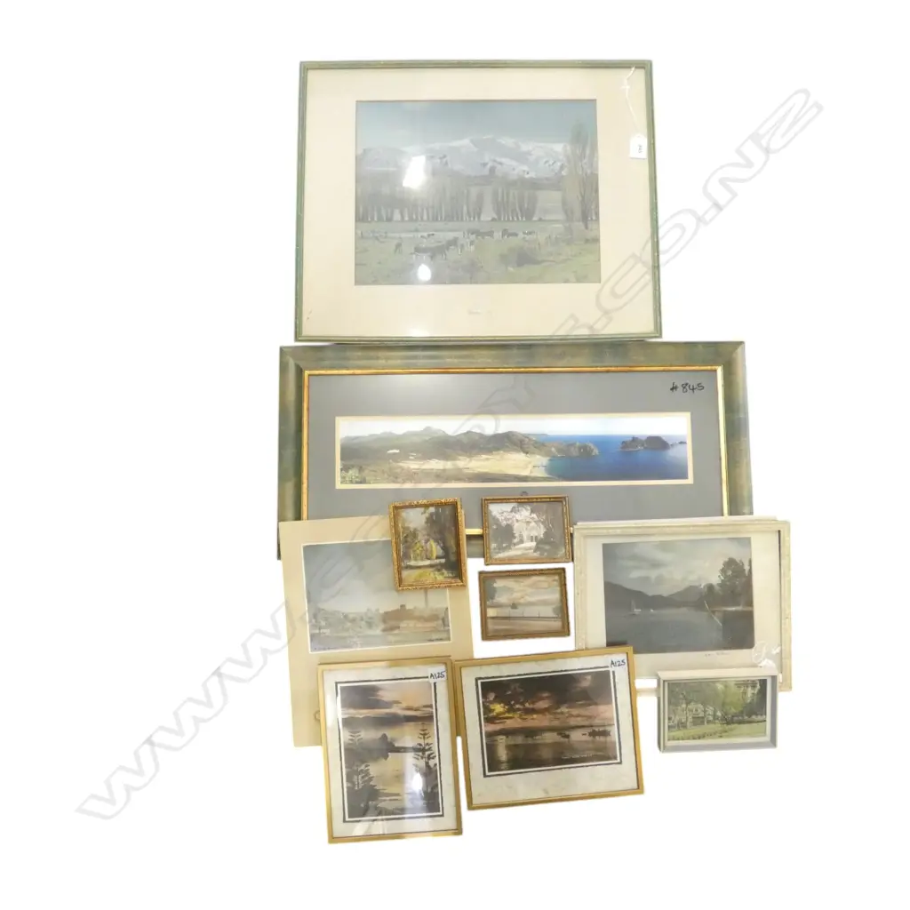 GROUP OF VINTAGE HAND COLOURED PHOTOS OF VIEWS FROM THE SOUTH ISLAND, VARIOUS SIZES Image 1++