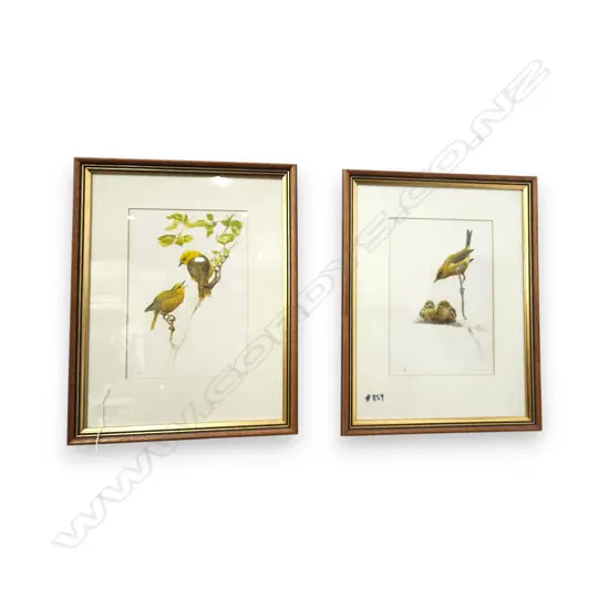 TWO FRAMED BIRD PRINTS