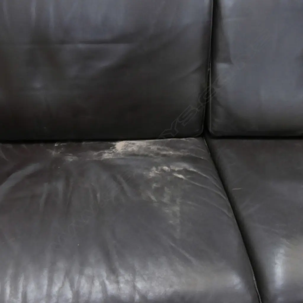 VIOLINO LEATHER SOFA 2250x970x870mm Image 1++