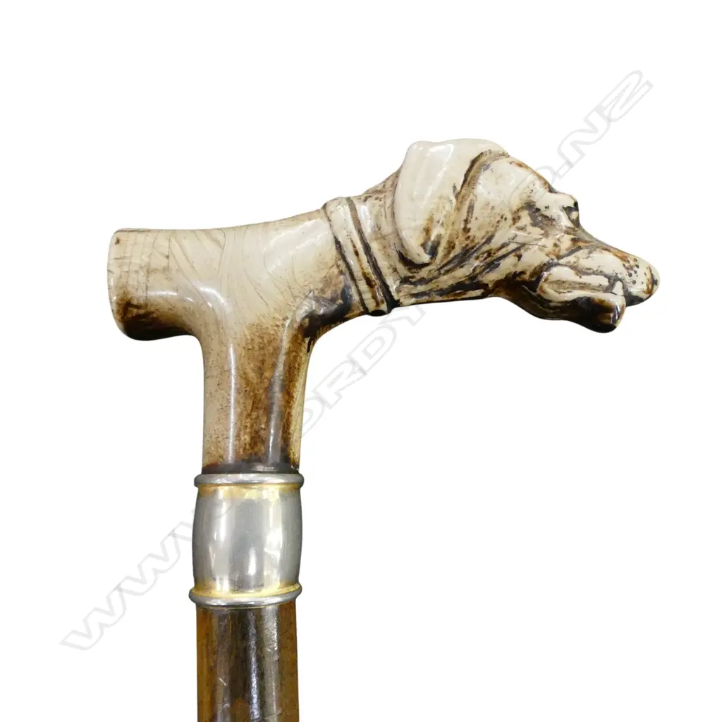 5 WALKING STICKS Image 1++
